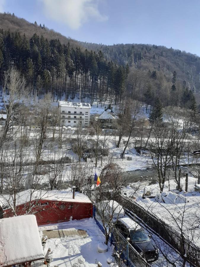 Casa Ryana Sinaia Hotel ภายนอก รูปภาพ