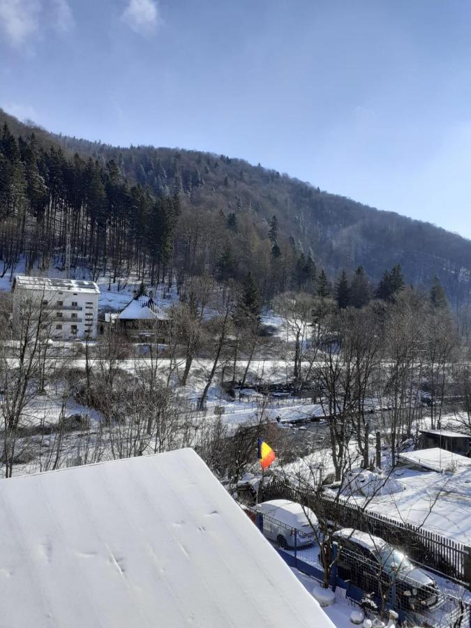 Casa Ryana Sinaia Hotel ภายนอก รูปภาพ