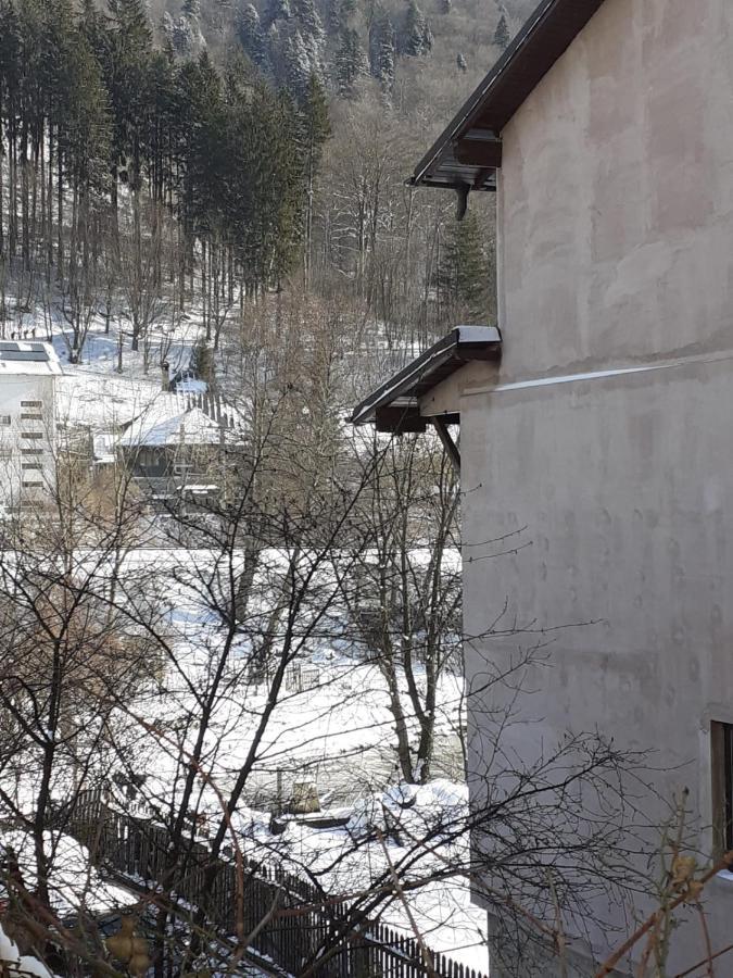 Casa Ryana Sinaia Hotel ภายนอก รูปภาพ