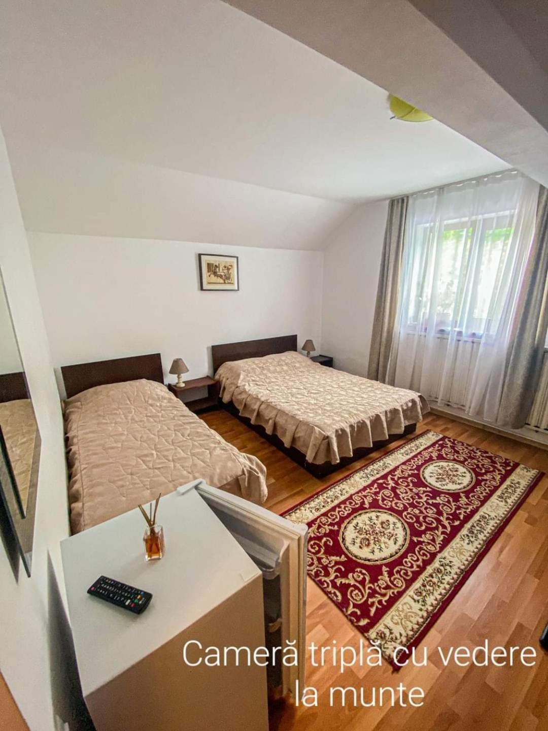 Casa Ryana Sinaia Hotel ภายนอก รูปภาพ