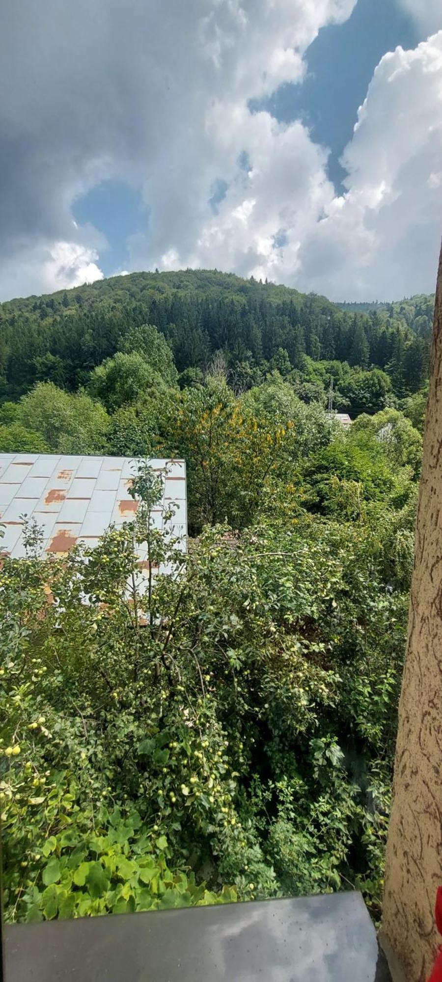 Casa Ryana Sinaia Hotel ภายนอก รูปภาพ