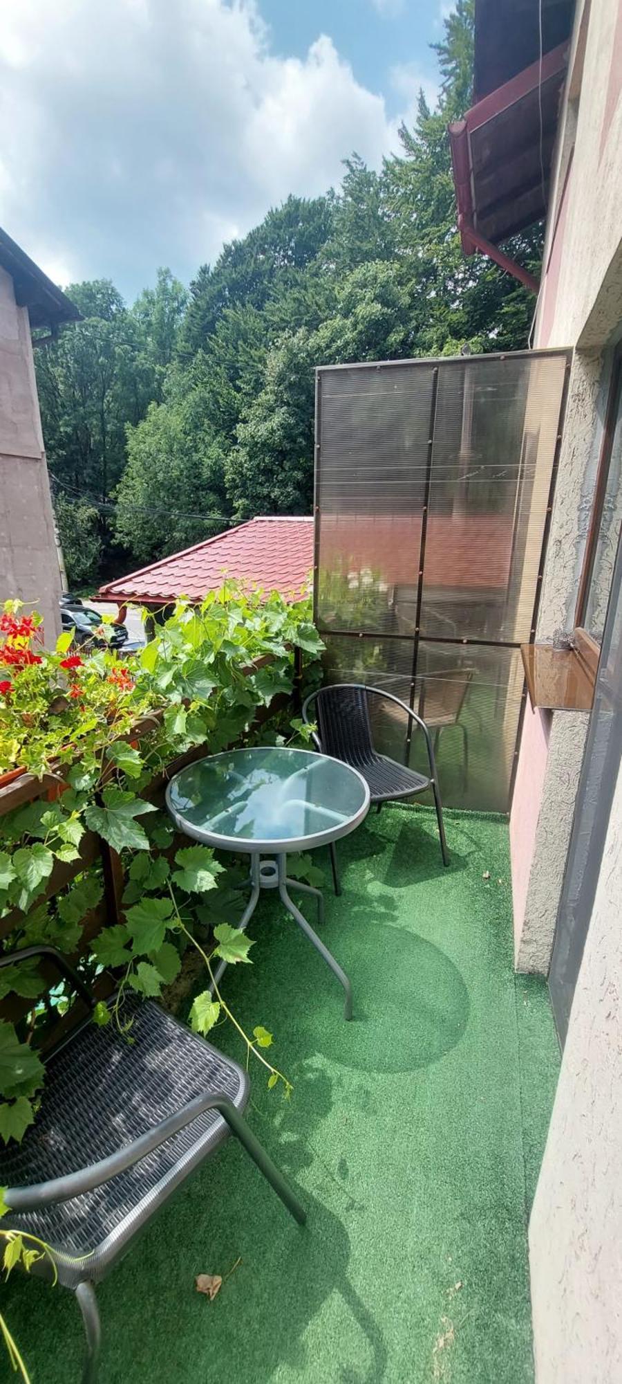 Casa Ryana Sinaia Hotel ภายนอก รูปภาพ
