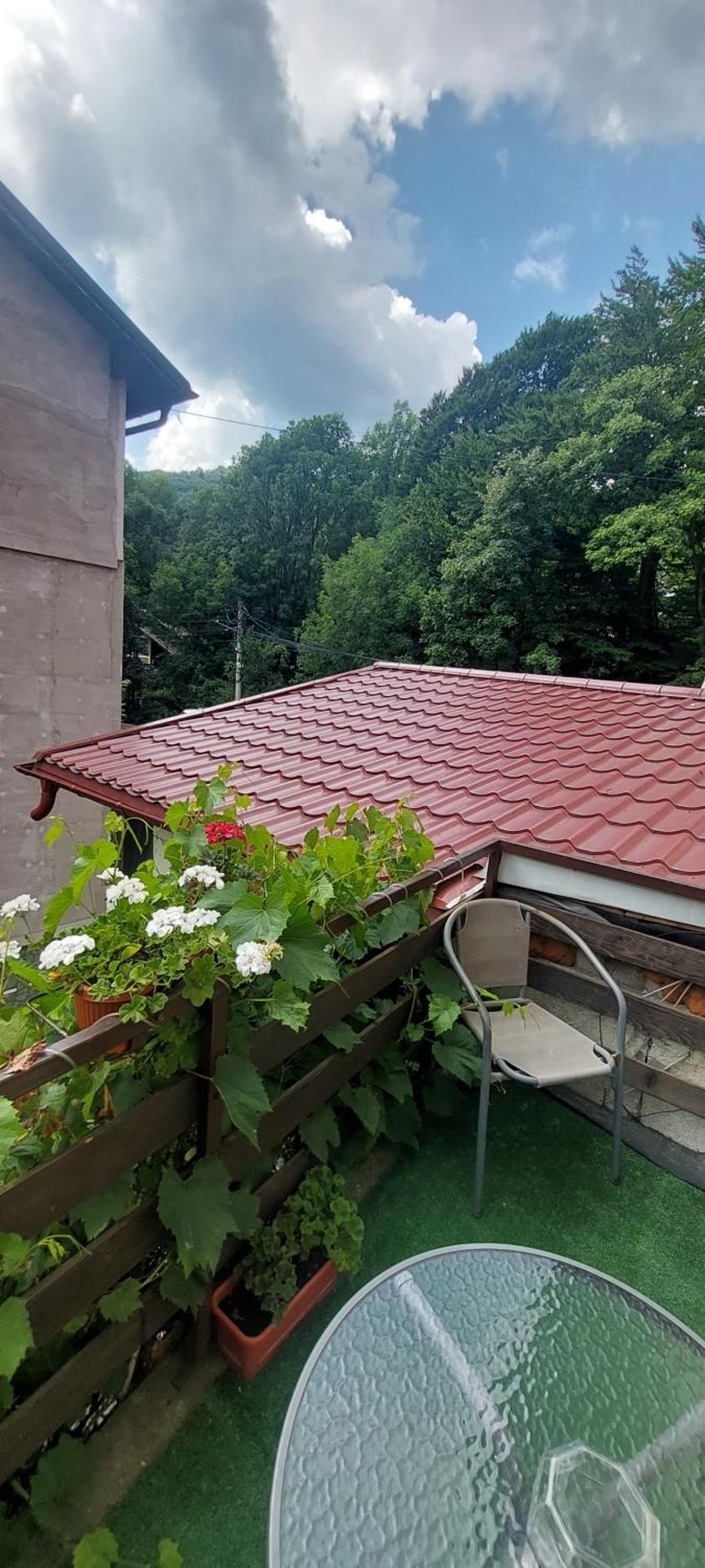 Casa Ryana Sinaia Hotel ภายนอก รูปภาพ